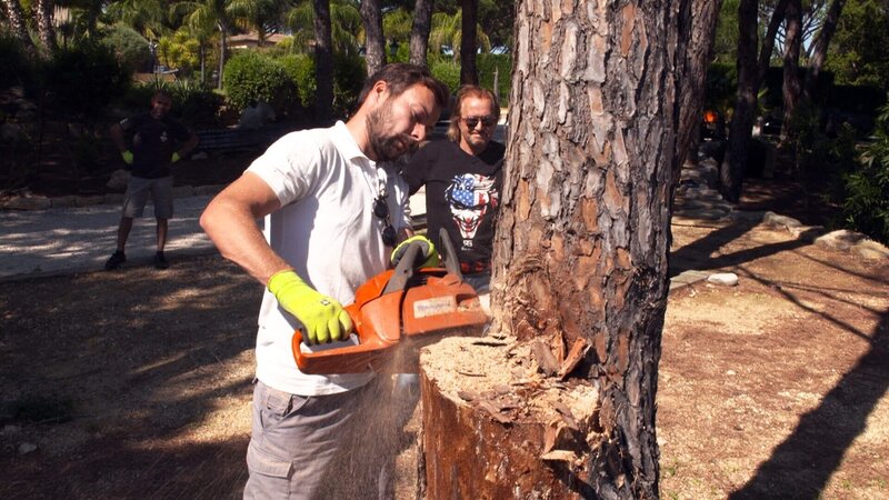 Es müssen zwei Bäume im Garten gefällt werden. Einer der Bäume steht gefährlich nah am Strommast.. – Bild: RTLZWEI