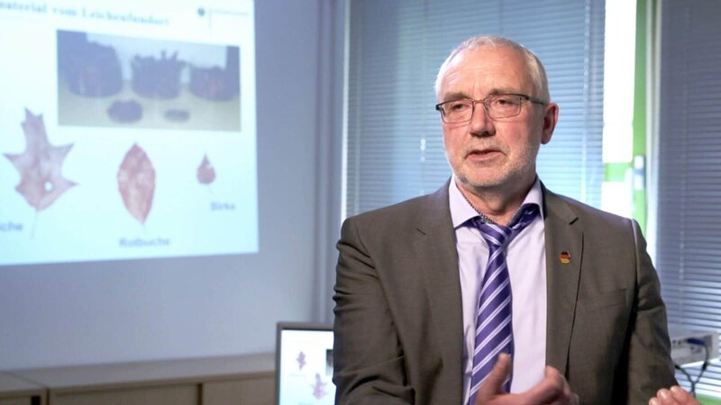 Bild: RTL Deutschland