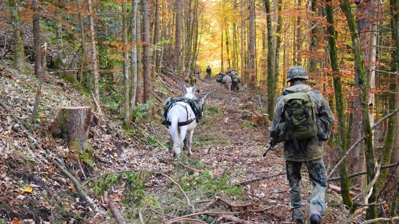 Tierische Aufklärer: Dort, wo der Mensch an seine Grenzen stößt, können sie der entscheidende Faktor sein. Bei den Gebirgsjägern in Bayern setzt die Bundeswehr auf Mulis und Pferde. – Bild: RTL /​ Carolin Greif