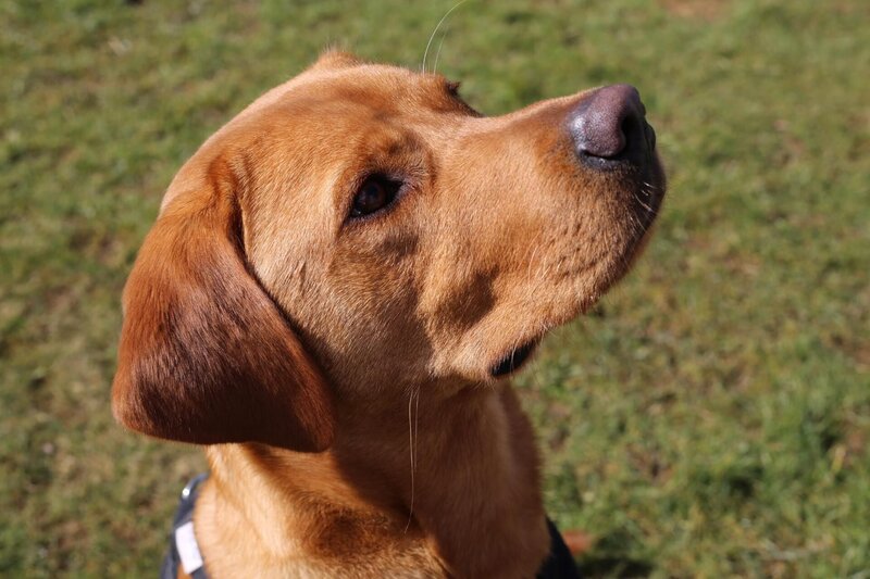 Bild: Blast! Films Ltd.