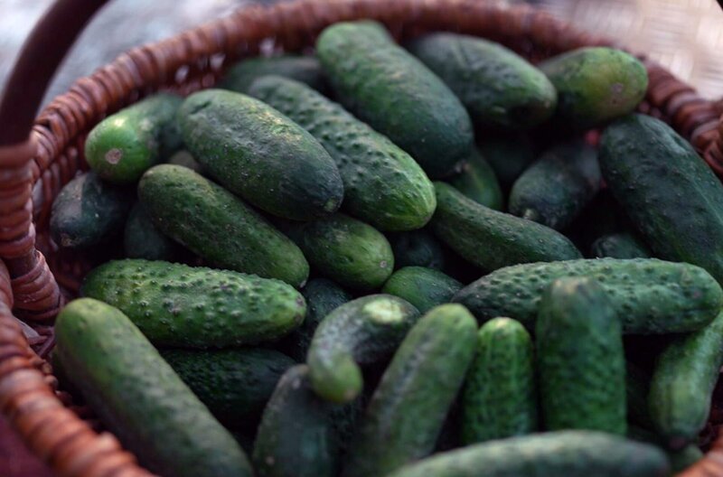 Die Spreewaldgurke ruft im Osten Deutschlands Nostalgie hervor. – Bild: Elephant Doc