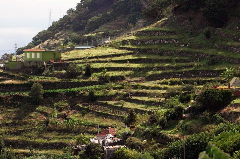 Die Insel Madeira, eine autonome Region Portugals, beherbergt auf ihren Gipfeln ein fabelhaftes natürliches Wasserreservoir: den Fanal-Wald. – Bild: Elephant Doc