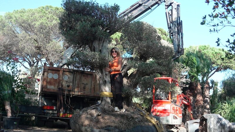 Es gibt Streit zwischen Robert und seinem Vater Reinhold. Opa Reinhold hat vier LKW beladen, es sollten aber nur drei sein. Wohin mit all den Pflanzen? – Bild: RTLZWEI