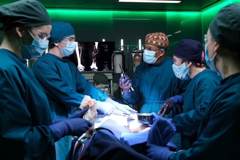 Dr. Shaun Murphy (Freddie Highmore, 2.v.l.) – Bild: CH Media