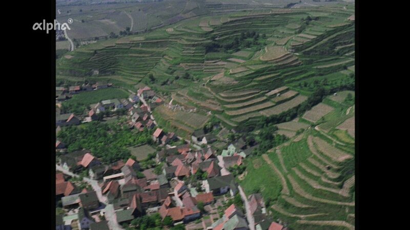 Der Kaiserstuhl mit seinen Löß-Terrassen. – Bild: BR/​SWR