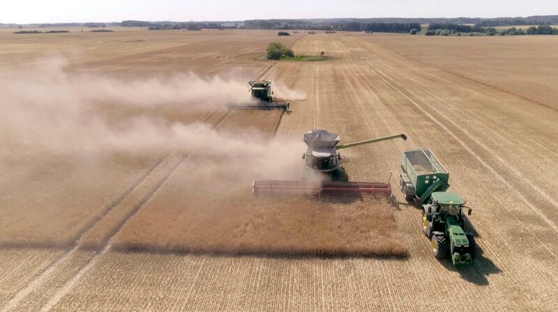 Die Sommergerste muss wegen der großen Trockenheit schon zwei Wochen früher geerntet werden als sonst. Weitere Fotos erhalten Sie auf Anfrage. – Bild: NDR/​Videomagic