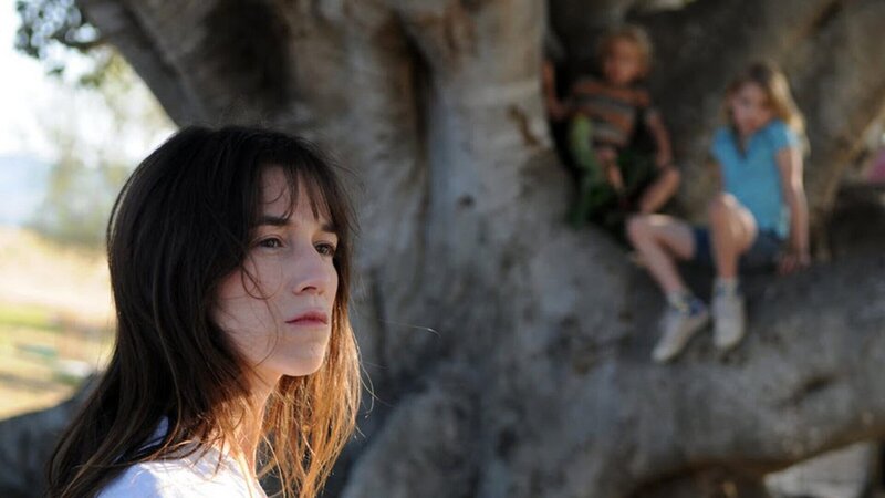 Der Baum – Bild: 3sat