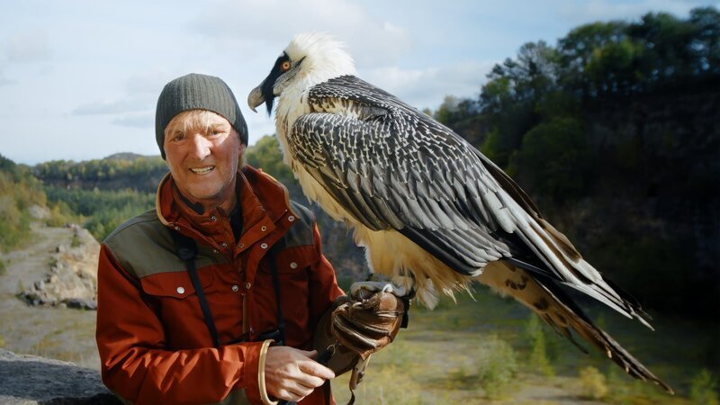 Andreas Kieling steht mit einem Bartgeier in einem Steinbruch in der Eifel. Als Chronist der Zeit schaut er, wie Artenschutzprojekte funktionieren. – Bild: ZDF Andreas Kieling steht mit einem Bartgeier in einem Steinbruch in der Eifel. Als Chronist der Zeit schaut er, wie Artenschutzprojekte funktionieren. – Bild: ZDF
