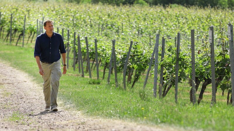 Weinberge in Bad Bergzabern: Jens Hübschen entdeckt bei seiner Expedition abseits der Touristenströme kleine Paradiese voller Stille, Wärme und Schönheit. – Bild: BR/​SWR/​Thomas Keck