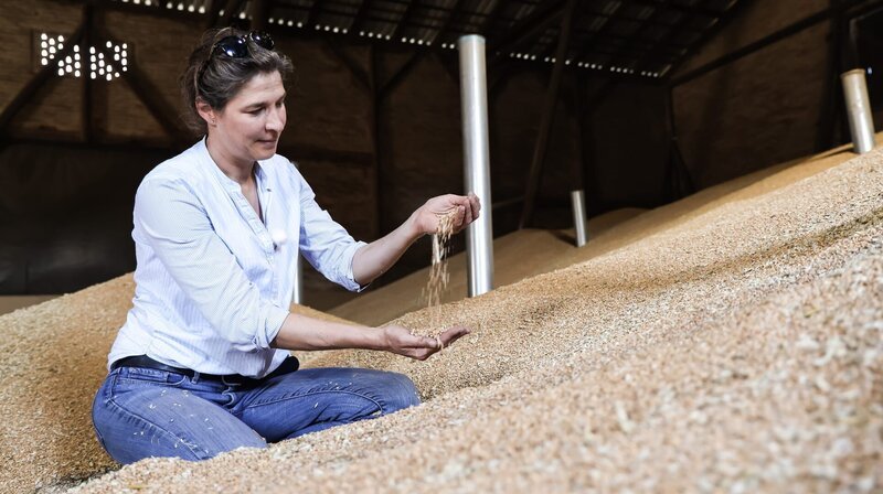 In ihrem Lager in Kissenbrück muss Landwirtin Franziska Bennecke dafür sorgen, dass sich keine Schädlinge vermehren oder ihr Weizen anfängt zu schimmeln. – Bild: NDR/​Filmblick