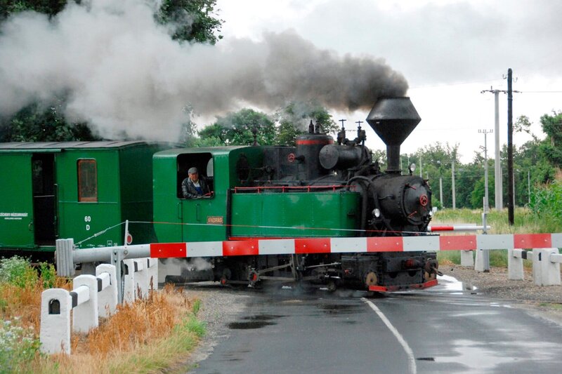 Eine vier Kilometer lange Schmalspurbahn fährt Richtung Fertöboz. Zusammengestellt aus ehemaigen Wald- und Industriebahnen entstand die frühere sozialistische Pionierbahn – den Spaß an der Eisenbahn haben die Kinder immer noch, auch als Nicht-Pioniere. – Bild: SWR/​Harald Kirchner