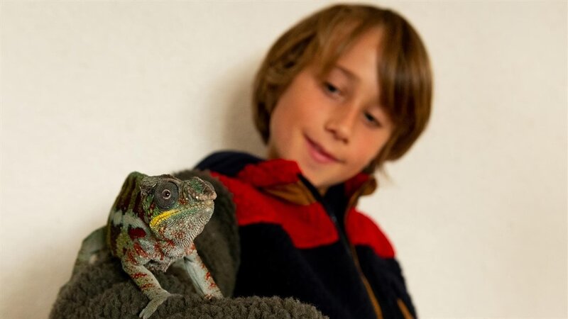 Ein Köder für die Schlange 3 – Bild: SWR/​Maria Wiesler