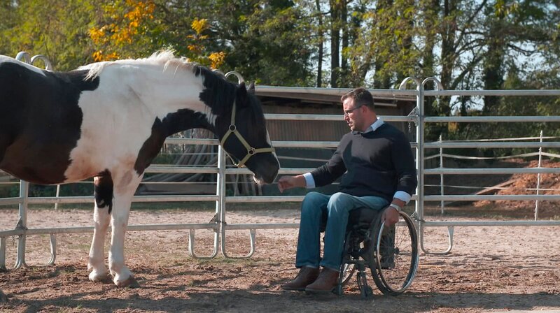 hr-fernsehen WIEDER FEST IM SATTEL (2), Die Geschichte eines Pferdeflüsterers, Lösungen, Vierteilige Sendereihe, am Samstag (28.09.19) um 18:45 Uhr. Der „Pferdeflüsterer“ Timo Ameruoso. – Bild: HR