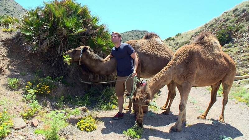 Coach Tobi hat Kamele mitgebracht. Die sollen ja ganz schön störrisch sein. – Bild: hr/​E+U TV Film- und Fernsehproduktion