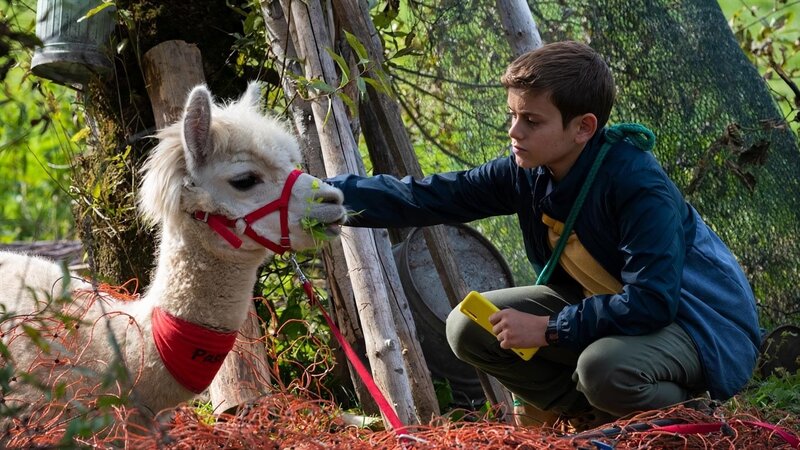 Der verschwundene Pascha 6 – Bild: SWR/​Maria Wiesler