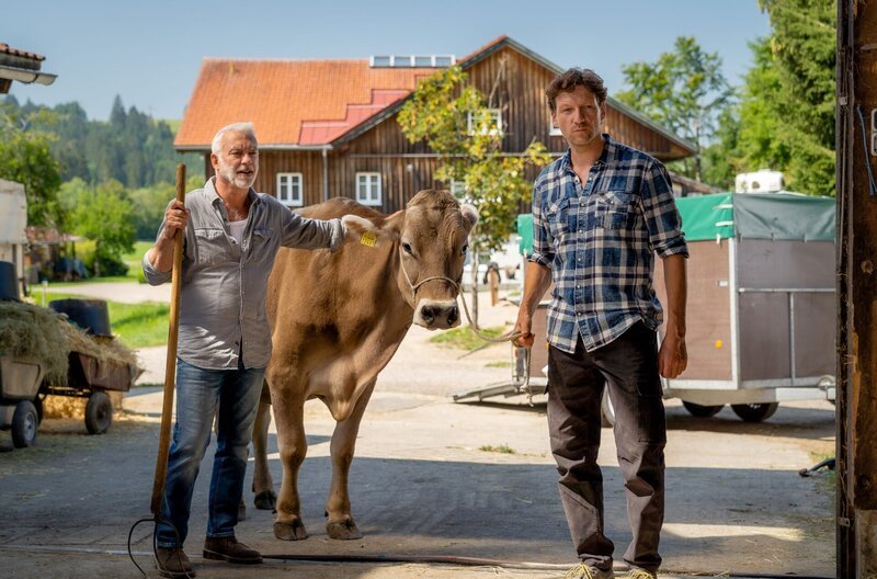 Die erste Kuh für den Stall: Karl (Christoph M. Ohrt) und Georg (Thomas Unger) setzen wieder auf die traditionelle Landwirtschaft. – Bild: HR/​Degeto/​Arvid Uhlig