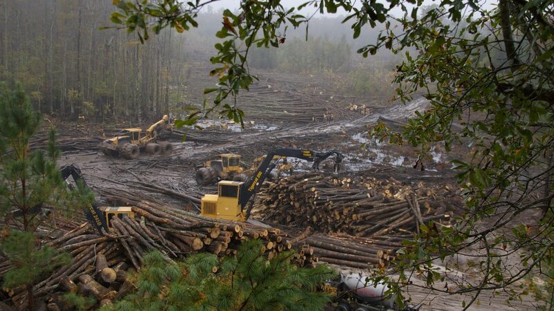 Wideshot of logging machines at work. – Bild: Discovery Channel