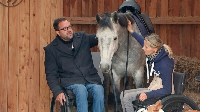 hr-fernsehen WIEDER FEST IM SATTEL (1), Die Geschichte eines PferdeflÃ¼sterers, Schicksale, Vierteilige Sendereihe, am Samstag (21.09.19) um 18:45 Uhr. Der â€žPferdeflÃ¼stererâ€œ Timo Ameruoso mit Steffi VÃ¶lker. – Bild: HR