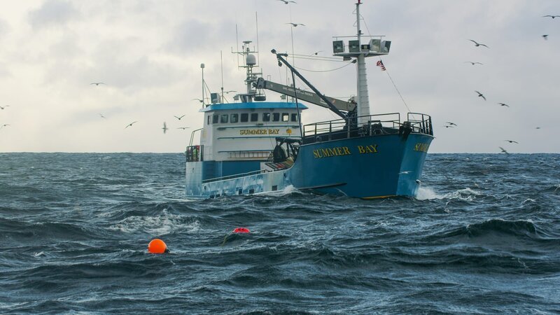 Summer Bay at rest. – Bild: Discovery Channel /​ Discovery Communications