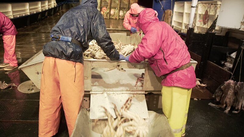 The Northwestern crew sorting their catch. – Bild: Discovery Channel /​ Discovery Communications