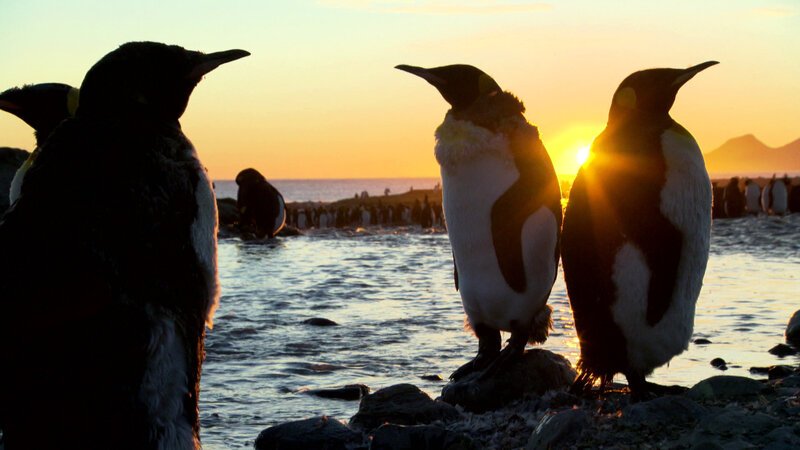 . – Bild: Bergblick . – Bild: Bergblick