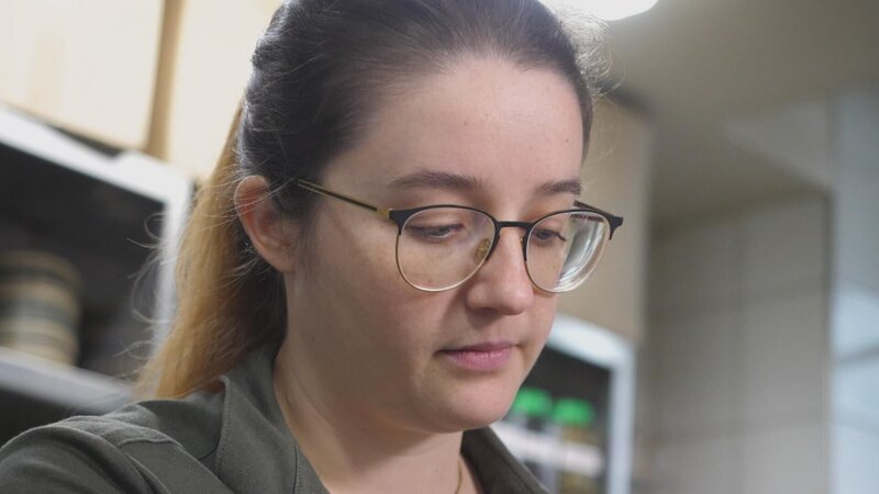 Bild: Seven.One Entertainment Group GmbH