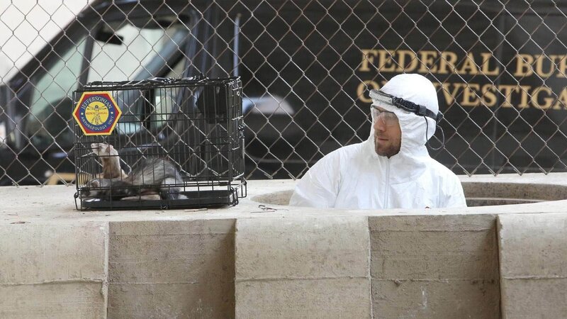 Hodgins (TJ Thyne) untersucht den Fundort einer Leiche, deren Oberkörper von Tieren übel zugerichtet wurde. – Bild: TVNOW