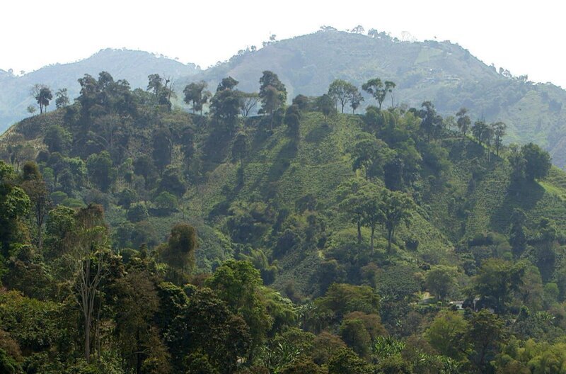 Francisco de Asís León Bogislao de Greiff Häusler wurde im späten 19. Jahrhundert in die kolumbianische Oberschicht hineingeboren und begeisterte sich schon früh für die beeindruckende Geografie seines Landes. – Bild: Elephant Doc