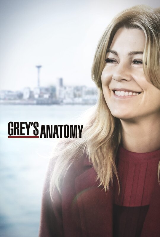 (15. Staffel) – Grey’s Anatomy – Artwork – Bild: ABC Studios Lizenzbild frei