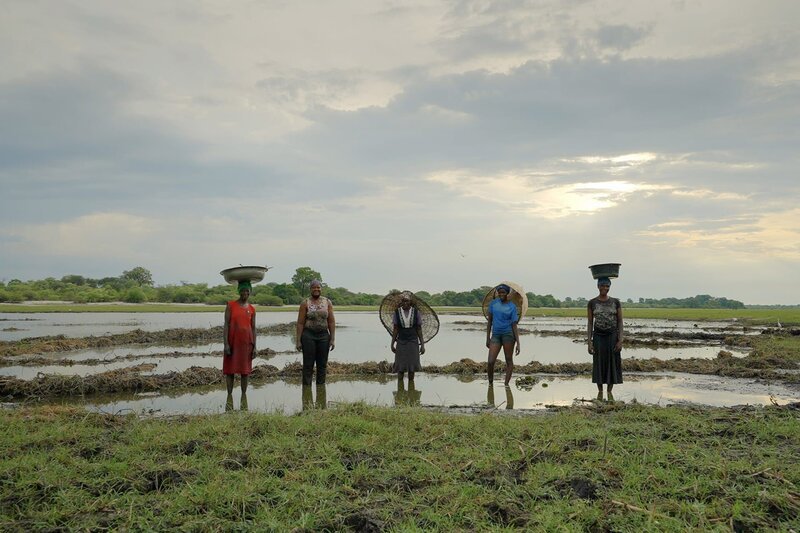 Beim Fischen begegnen den Frauen viele Gefahren wie Schlangen, Krokodile oder auch Flusspferde. In Afrika werden jährlich 500 Menschen Opfer von Flusspferd-Angriffen. – Bild: 3sat