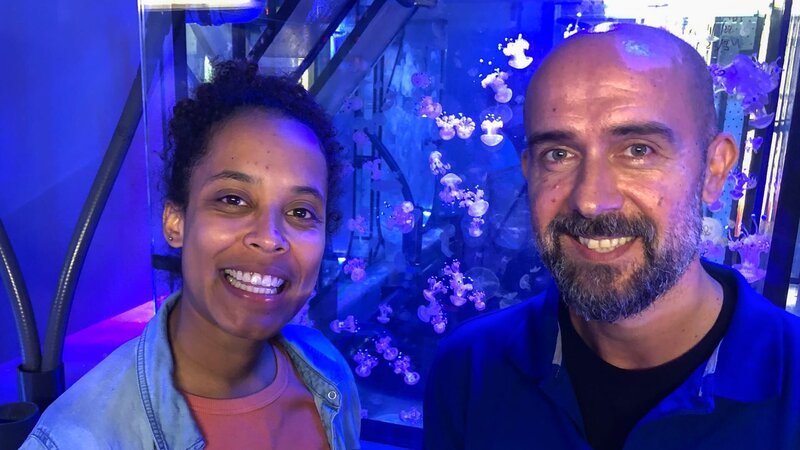 Im Quallen-Labor zeigt Ramón Pia, wie Quallen entstehen. – Bild: BR/​TEXT+BILD Medienproduktion GmbH & Co. KG