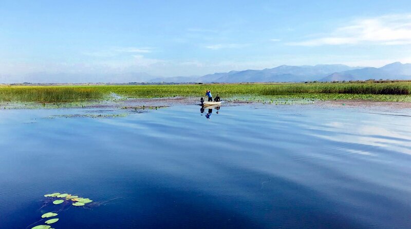 Der Skutarisee ist ein bedrohtes Paradies für Wasservögel. – Bild: NDR/​elbmotion pictures