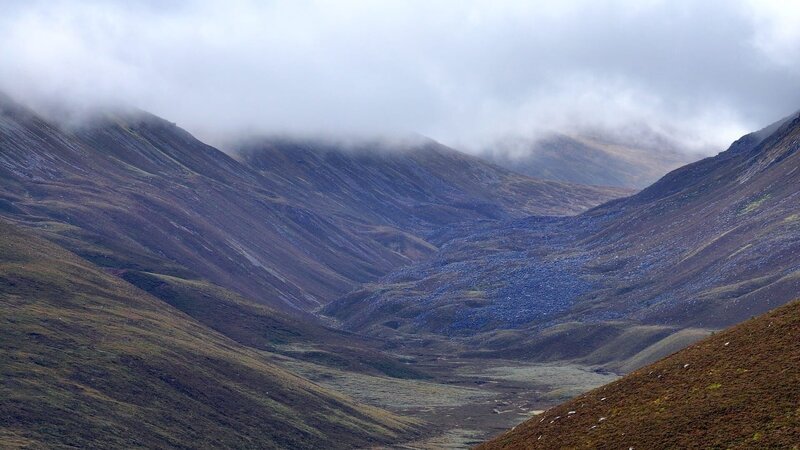 Die typische, karge Landschaft der Highlands war einst mit dichtem Wald bewachsen – Bild: ZDF