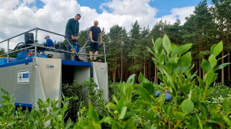 Ervin Weiss (Mitte) ist Doktor der Germanistik in der Slowakei. Seit 16 Jahren hilft er jeden Sommer bei der Ernte mit. Heute soll er zum ersten Mal den Vollernter fahren. – Bild: NDR/Stefan Radüg Ervin Weiss (Mitte) ist Doktor der Germanistik in der Slowakei. Seit 16 Jahren hilft er jeden Sommer bei der Ernte mit. Heute soll er zum ersten Mal den Vollernter fahren. – Bild: NDR/Stefan Radüg