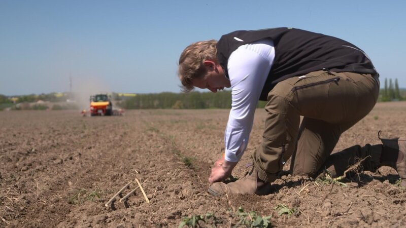 Bauer Mauritz von Grundherr prüft die Abstände gesäter Maiskörner. – Bild: RTL /​ solisTV /​ Hightech auf dem Acker – Wie junge Bauern sich selbst erfinden