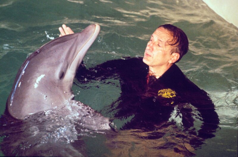 Der Tag des Delfins – Bild: BR/​Studiocanal – Library/​Telepool GmbH