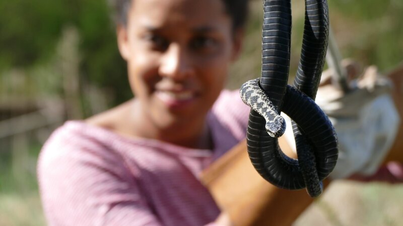 Pia schaut sich die Kreuzotter an. Allerdings aus sicherer Entfernung, denn die Kreuzotter ist eine Giftschlange. – Bild: BR/​Text und Bild Medienproduktion GmbH & Co. KG