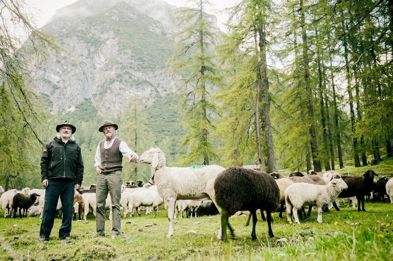 Hermann Hammerl, links – Bild: ServusTV /​ Tellvision