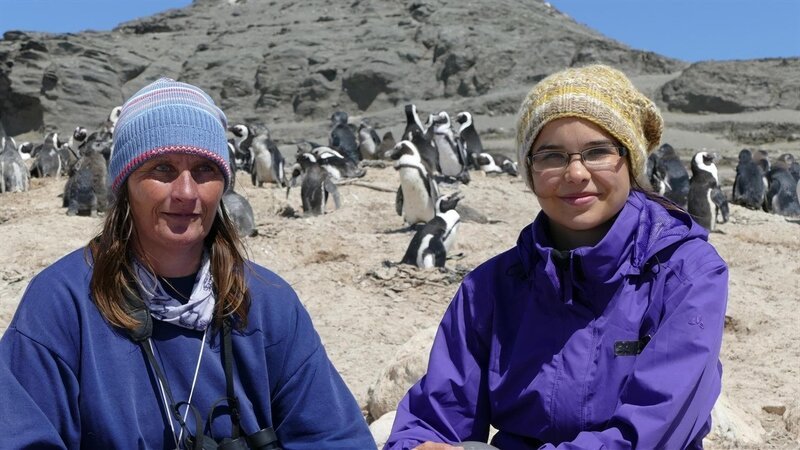 Praktikum bei den Pinguinen 4; © BR/​TEXT + BILD Medienproduktion GmbH & Co. KG. – Honorarfreie Verwendung gemäß AGB im redaktionellen Zusammenhang mit genannter Sendung bei Nennung „Bild: BR/​TEXT + BILD Medienproduktion GmbH & Co. KG.“. Andere Verwendung nur nach Absprache. KiKA Unternehmenskommunikation – bildredaktion@kika.de Telefon: +49.361.218⁠–⁠1826 – Bild: BR/​TEXT + BILD Medienproduktion GmbH & Co. KG/​KiKA Bildredaktion