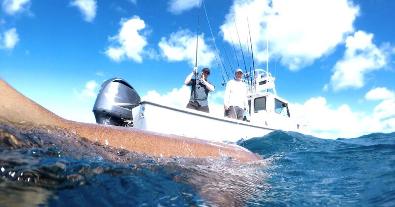 Bild: Licensed by Banijay Rights Limited Lizenzbild frei