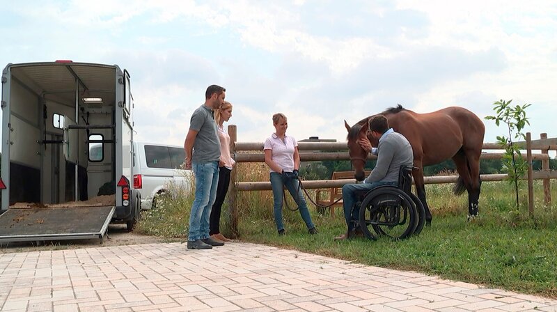 Der „Pferdeflüsterer“ Timo Ameruoso bringt wilde, auffällige und verhaltensgestörte Pferde dazu, wieder ihren Besitzern zu. Hier: Ameruoso (im Rollstuhl sitzend) mit dem Rennpferd Silly. – Bild: HR