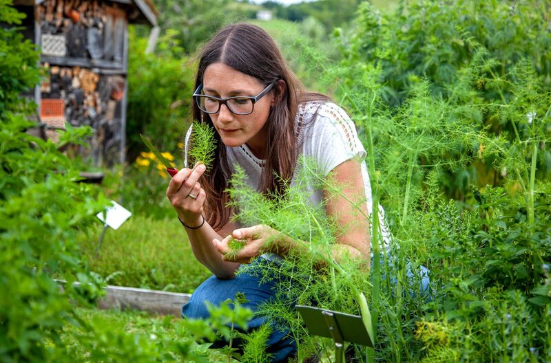 Sechs Landfrauen, ein Oldtimerbus und ein Kochwettbewerb mit jeweils einem Drei-Gänge-Menü. Sabrina Huber entdeckt die verschiedenen Kräuter im Garten von Christina Müller. – Bild: SWR/​megaherz/​Anne Deiß