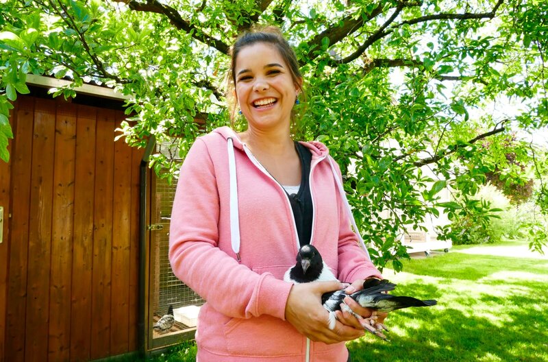 Von Michi lernt Anna, wie man eine Taube am besten in der Hand hält. Tauben sind keine Kuscheltiere. Vorsichtig anfassen kann man sie aber trotzdem. – Bild: BR/​Text + Bild Medienproduktion