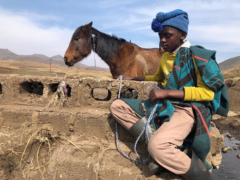 Tsebang tränkt die Pferde. – Bild: HR/​Daniel Reitz