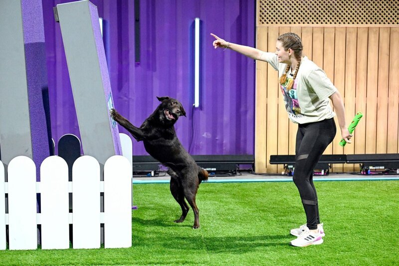 Joyce Calzawara mit ihrem Aussiedor Rico in Runde 1. – Bild: RTL /​ Markus Hertrich