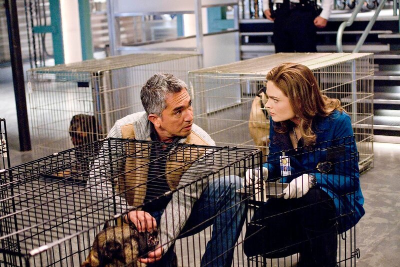 BONES: „The Dog Whisperer“ Cesar Millan (L) steps in to help Brennan (Emily Deschanel, R) and Booth when they discover a dog- fighting ring may be connected to the death of a veterinarian in the BONES episode „The Finger in the Nest“. – Bild: Fox Broadcasting Co.