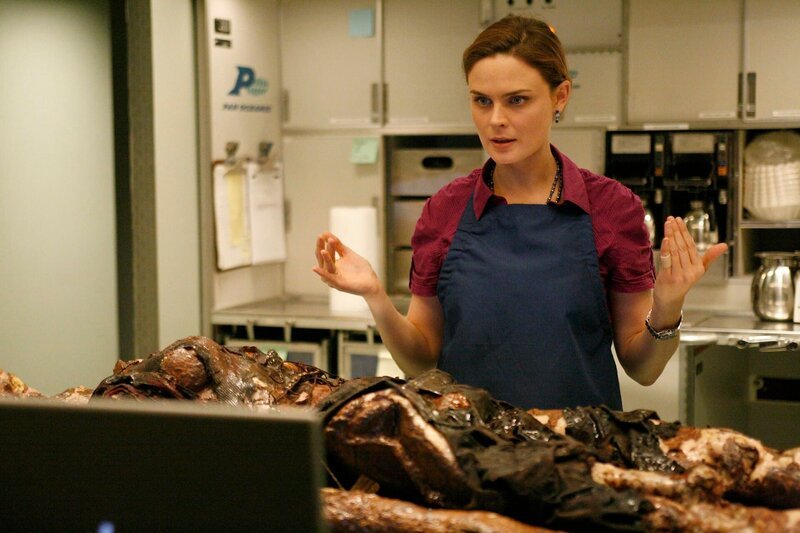 Dr. Temperance ‚Bones‘ Brennan (Emily Deschanel) – Bild: 20th Century Fox Television