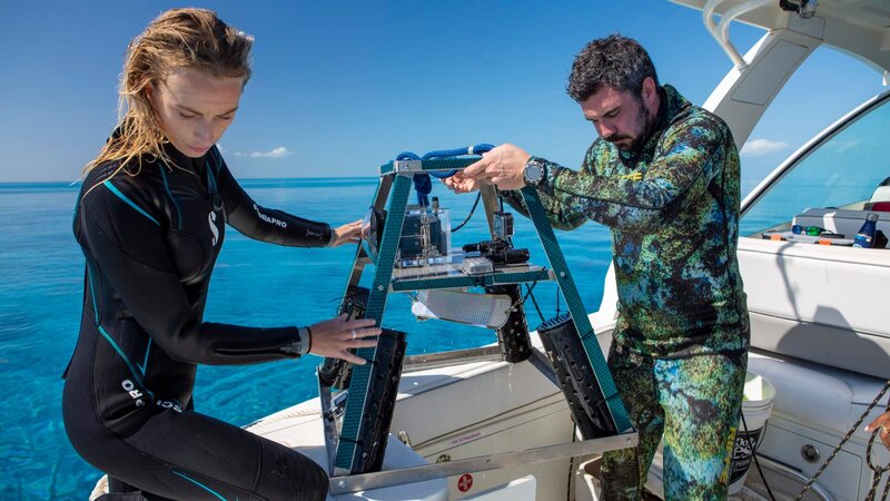 Bild: Warner Bros. Discovery, Inc.