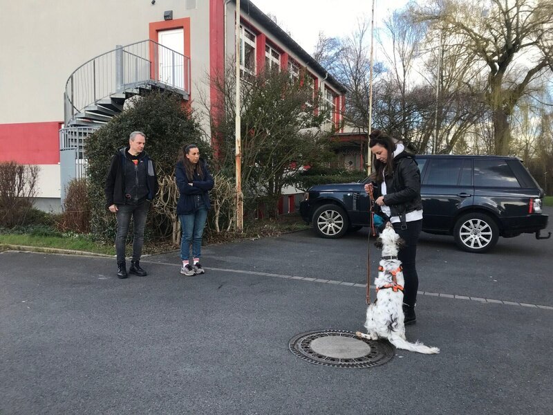 V.l.: Thomas, Sabine, Hundetrainerin Ellen Marques mit Dexter. – Bild: RTL