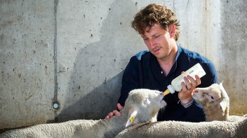 Reporter Spezial – Donat auf Achse Von Gaming, Schafen und der Pubertät Folge 7 Donat Hofer gibt Lämmern ihre Milch. – Bild: SRF